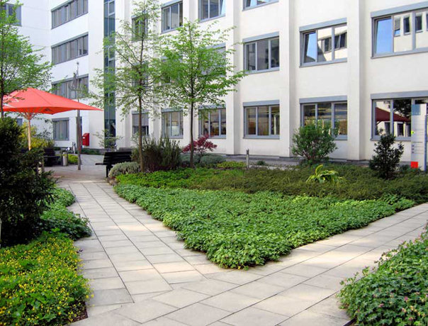 n_n_b_49  Geranienfeld.jpg